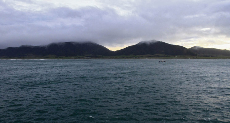 ARCHIVO | Agencia Gradual