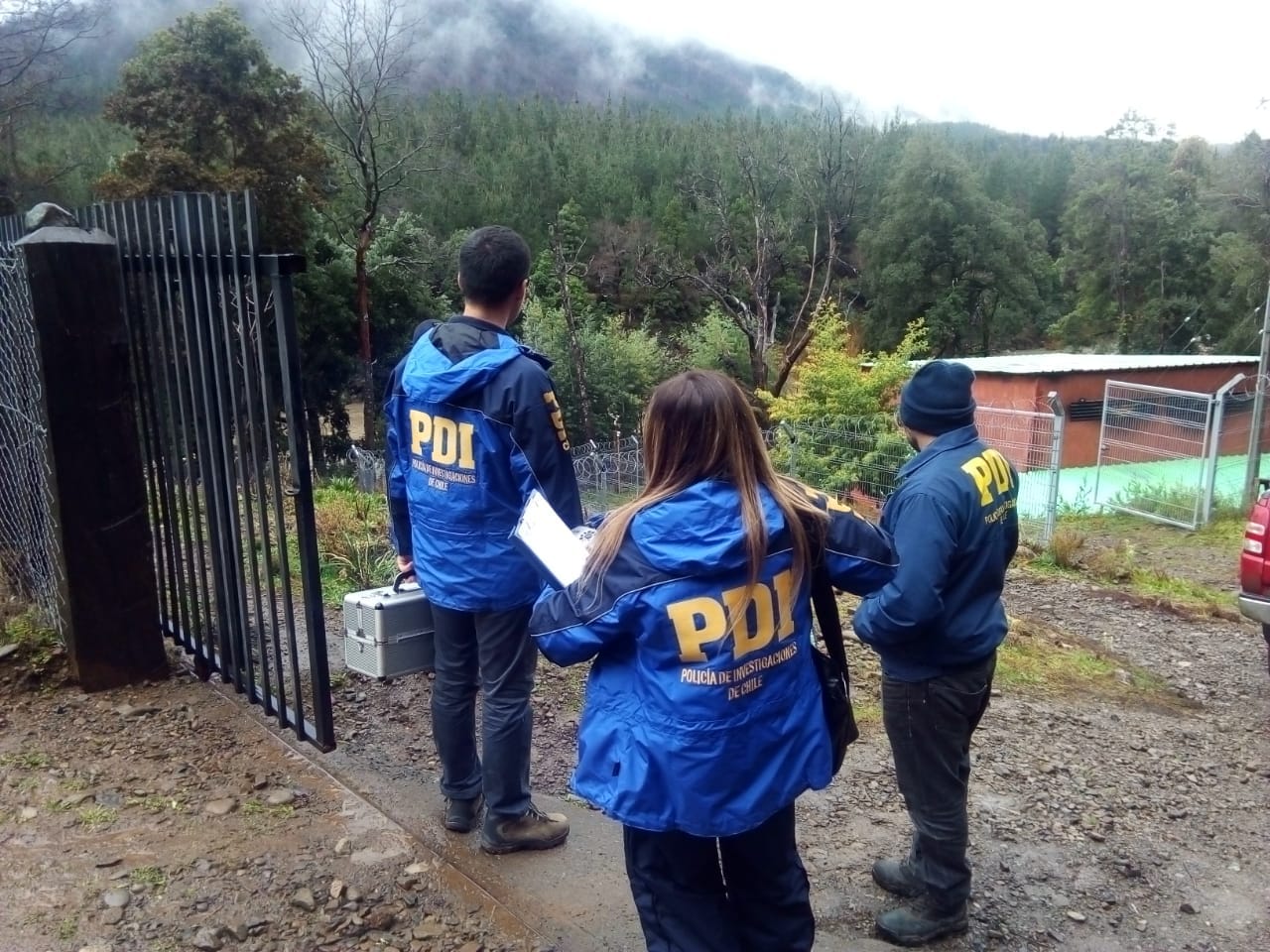 PDI