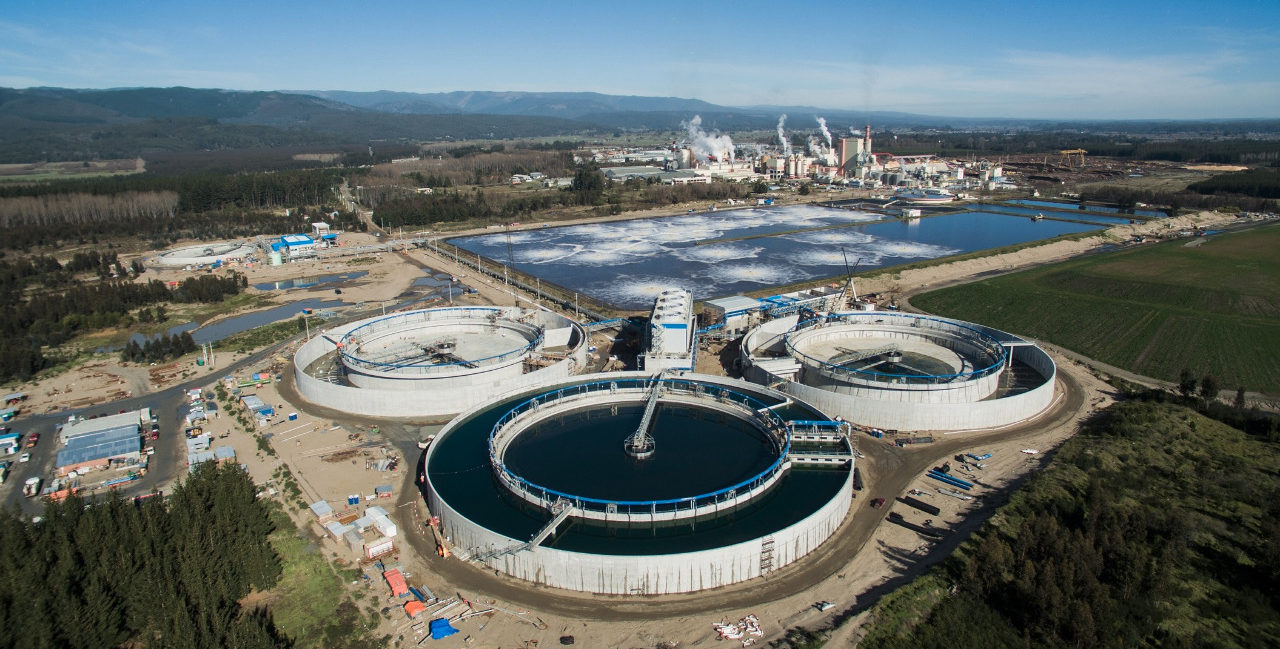 Contexto | Arauco