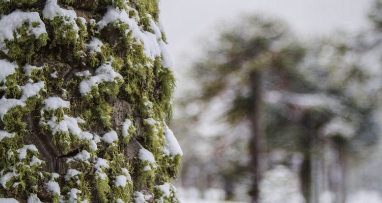 ARCHIVO | Agencia UNO