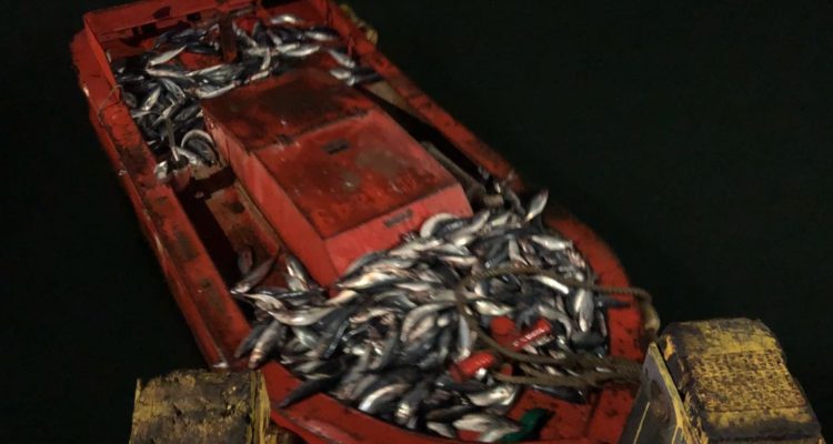 Capitanía de Puerto Lota