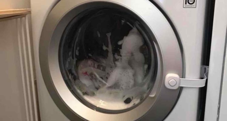 Regeneración parilla Desarmado Niña de 3 años quedó atrapada en lavadora funcionando: El relato que los  padres deben leer | Internacional | BioBioChile