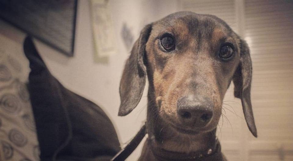 Facebook | Buscando a Gaspar -Iquique-