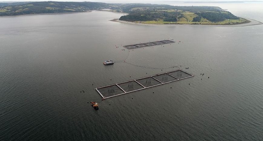 Marine Harvest Chile