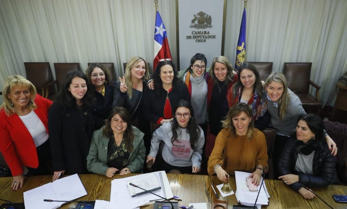 Twitter | Diputada Maya Fernández