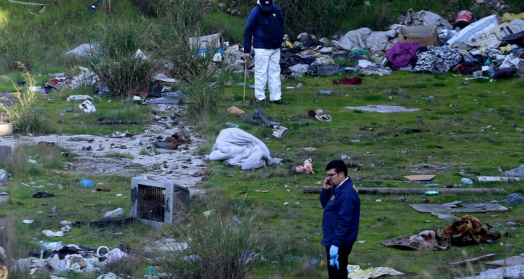 Hans Scott | Agencia Uno