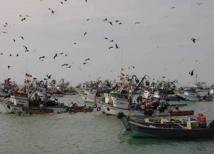 Actividades económicas como la pesca y el turismo resultarían afectadas por la explotación petrolera, según los expertos. Foto. Oceana.