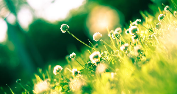 Ramdas Ware | Pexels (CCO)  