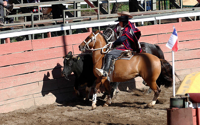 Archivo | Leonardo Rubilar | Agencia UNO
