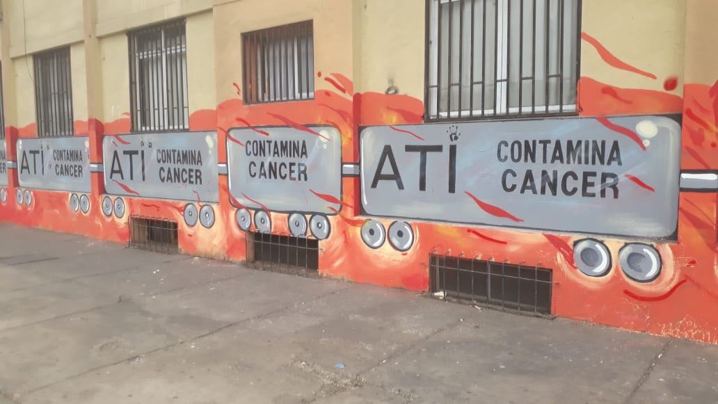 Cedidas