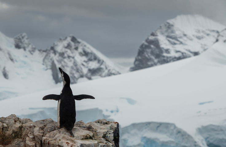 Publican mapa de alta precisión de la Antártica: es el más detallado de un  continente en la Tierra | Ciencia y Tecnología | BioBioChile