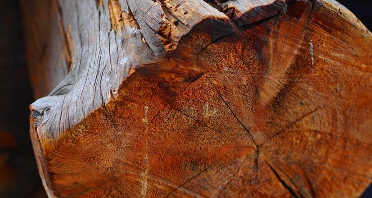 CONTEXTO maxpixel.net