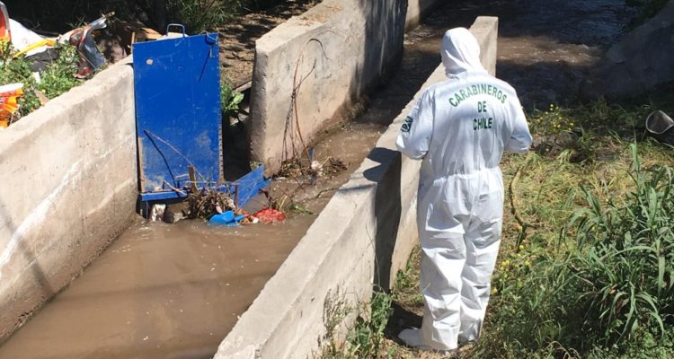 David Valenzuela (RBB)