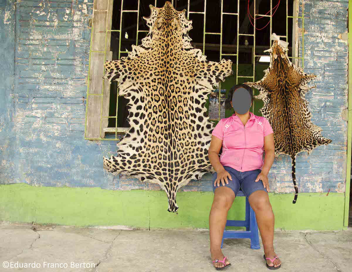 Gabriela indica que ciudadanos chinos que llegan hasta Iquitos la buscan para comprarle colmillos de jaguar. Foto: Eduardo Franco Berton.