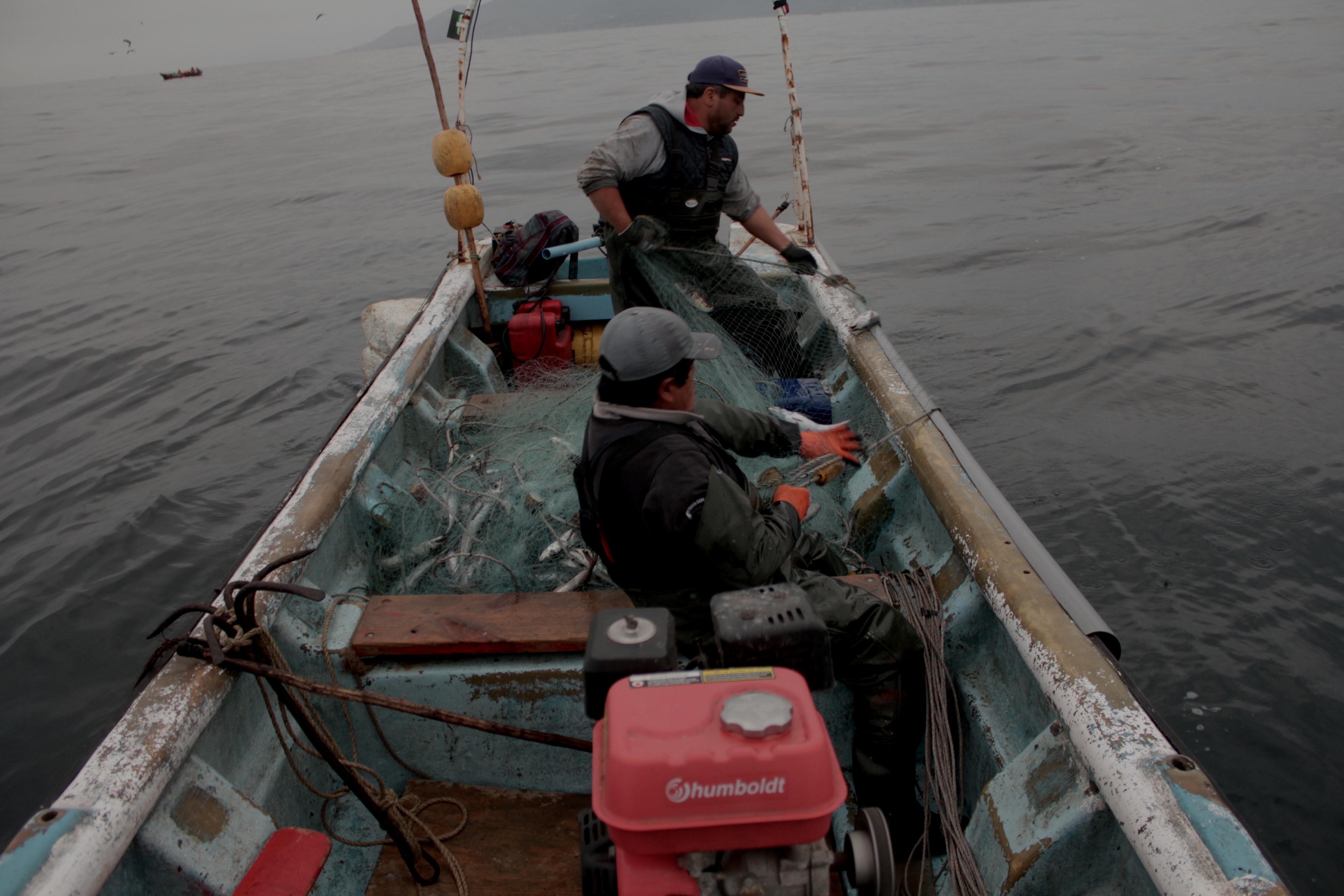Pescadores artesanales pescando merluza. Foto: Michelle Carrere