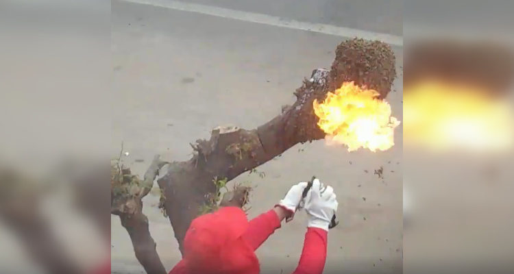 Captura | Catalina Francoise Jiménez | Facebook