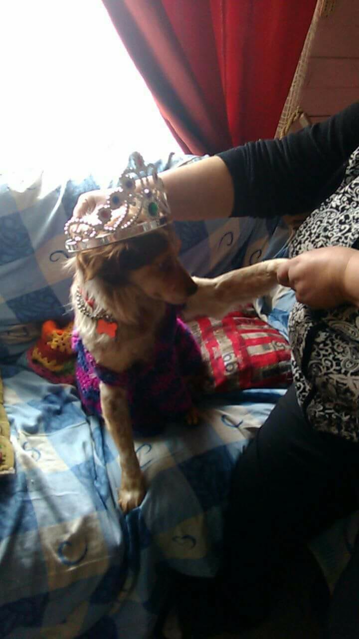 Cedida a BBCL