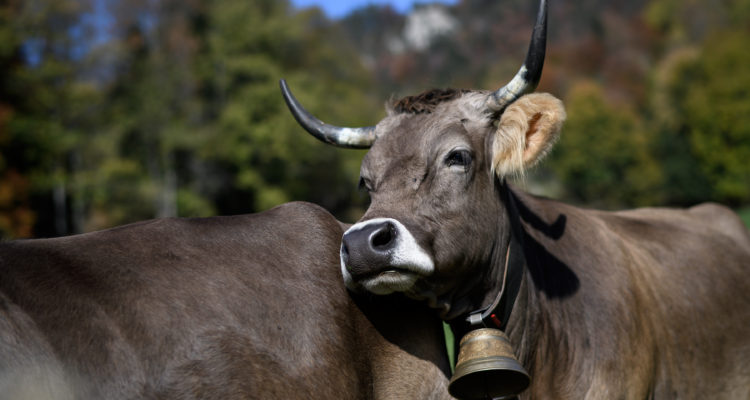 Fabrice COFFRINI | AFP