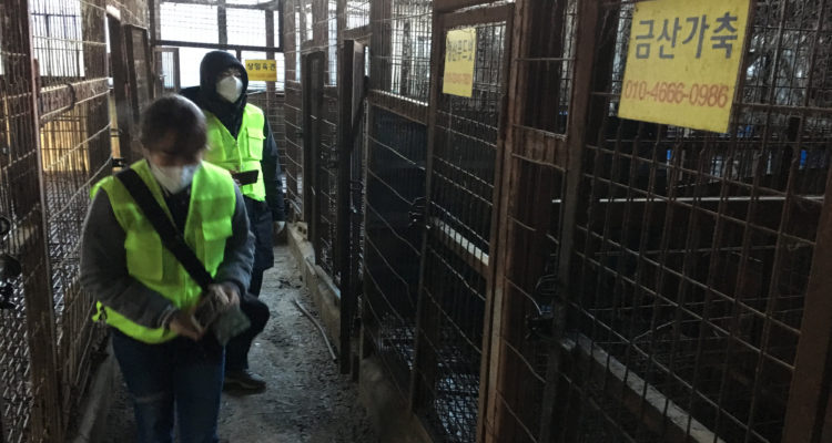 Agence France-Presse