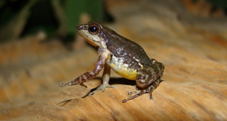  Agence France-Presse