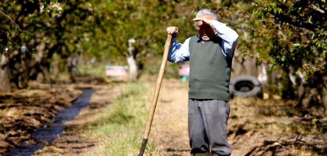 ARCHIVO | Agencia UNO