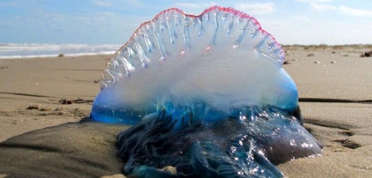 Archivo | Agencia UNO