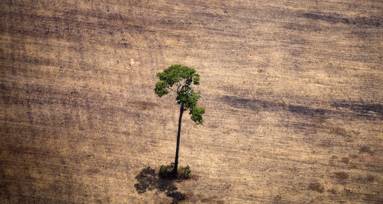 Raphael Alves | Agence France-Presse
