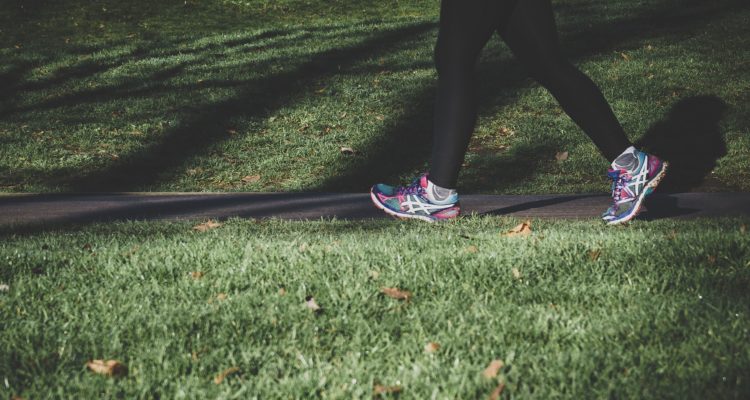 StockSnap | Pixabay (cc0)