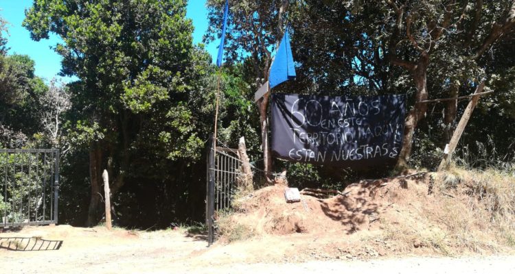 Cristián Valdebenito (RBB)