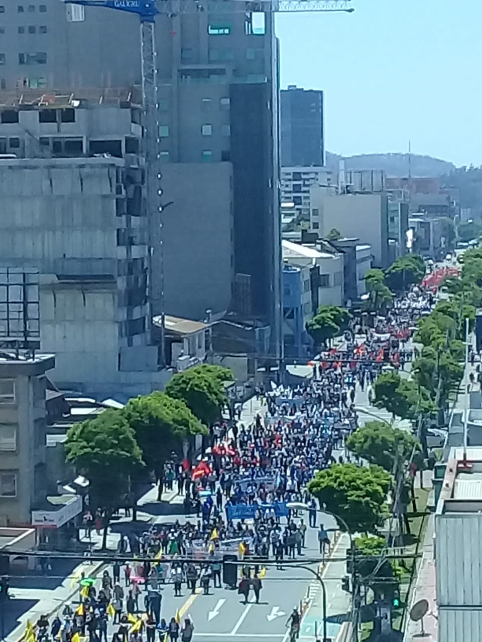 Carabineros, en tanto, cifró a los manifestantes de la marcha en Concepción en 5 mil | Cedida