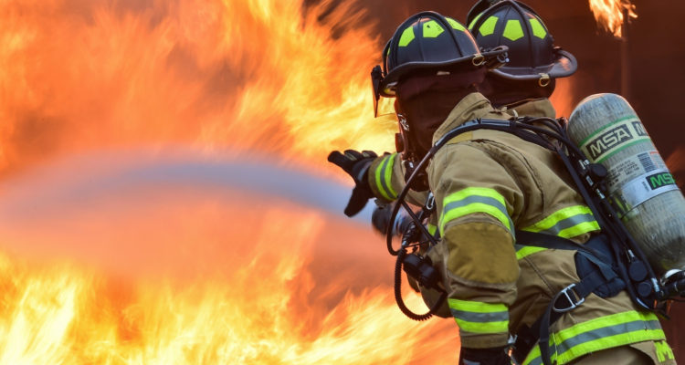 Pixabay | Pexels (CCO)