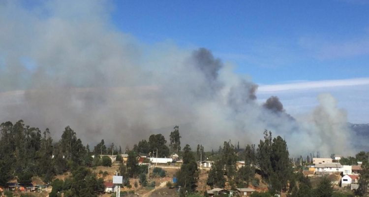 Ignacio Caballero | RBB