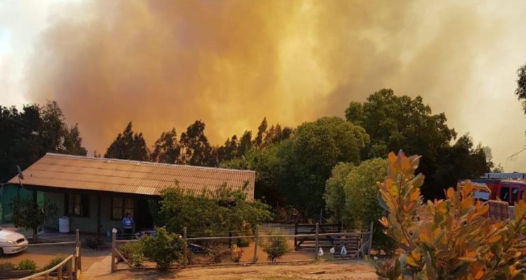 Cedidas a Radio Bío Bío