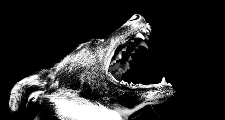 Imagen de contexto | www.maxpixel.net