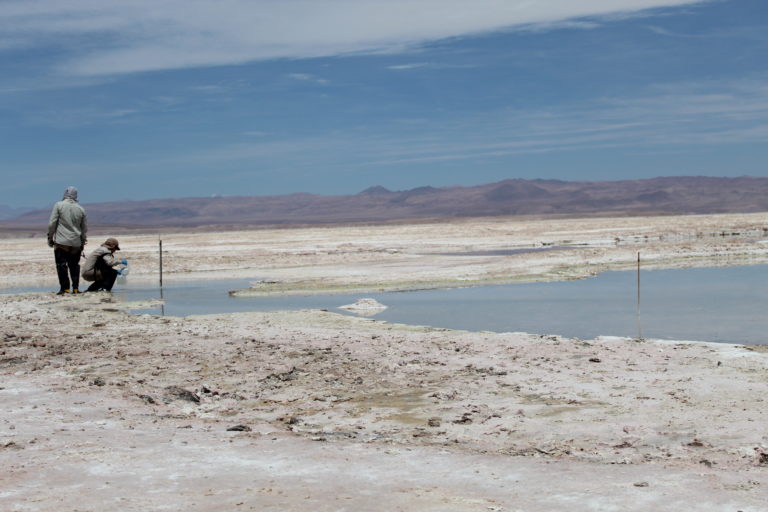 Salar de Atacama. Foto: Consejo de pueblos Atacameños