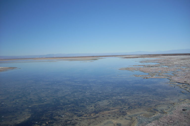 Salar de Atacama. Foto: Michelle Carrere