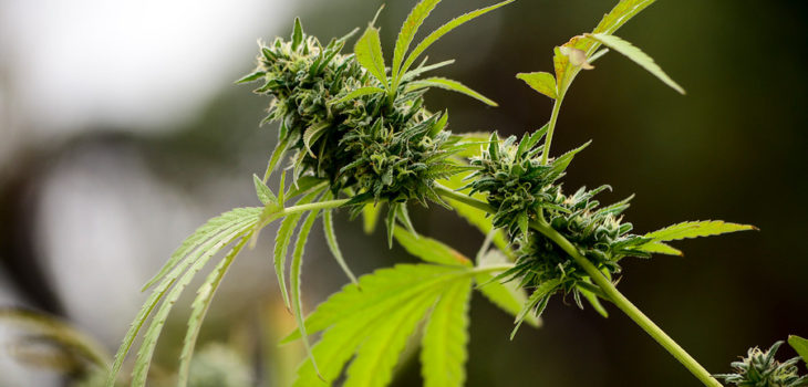 ARCHIVO | Agencia UNO
