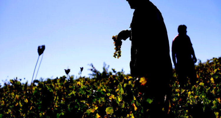 CONTEXTO | Agencia UNO