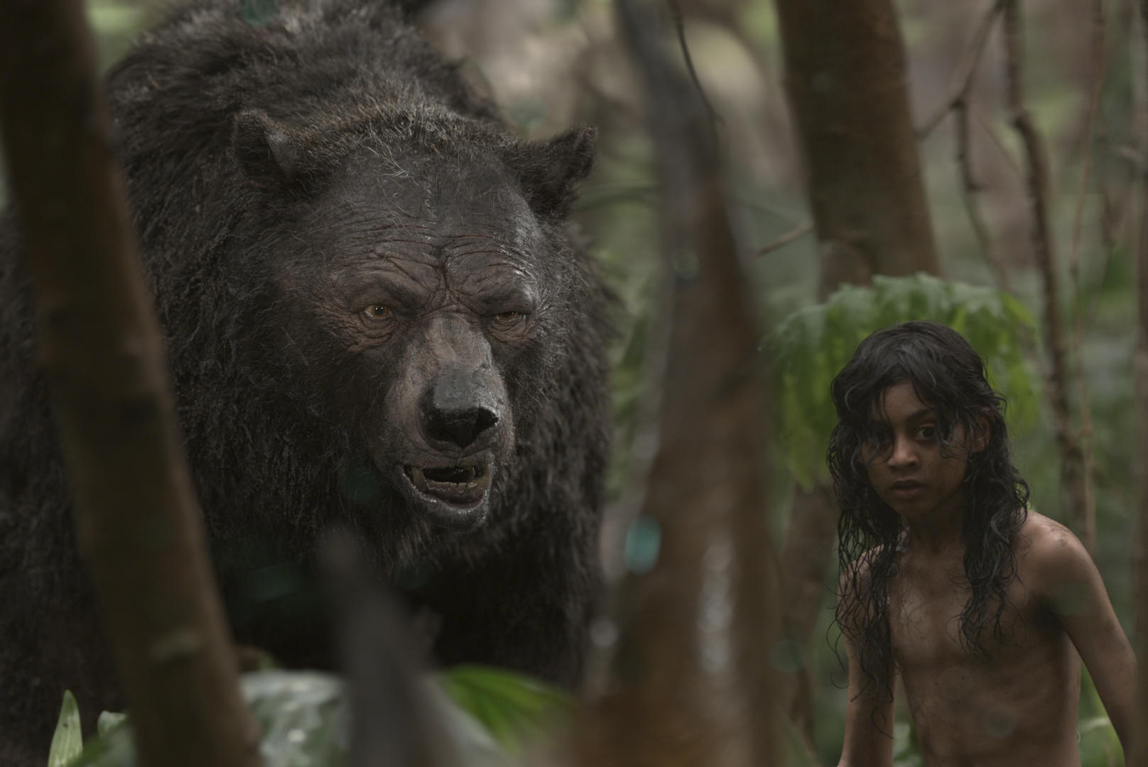 Mowgli: Relatos del libro de la selva 