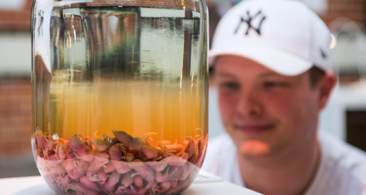 Vino de ratones en el Museo de la Comida Asquerosa | Jonathan Nackstrand | Agence France-Presse
