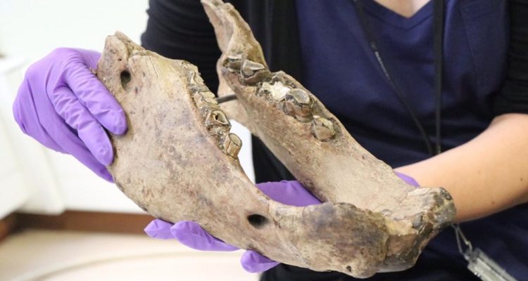 Ministerio de Bienes Nacionales