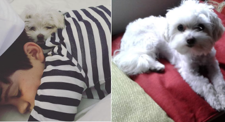 Paula Susacasa | Twitter