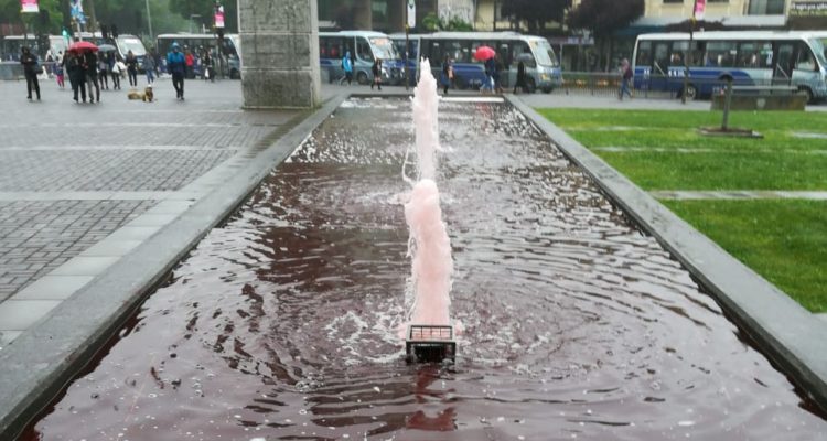 Amparo Montoya | RBB