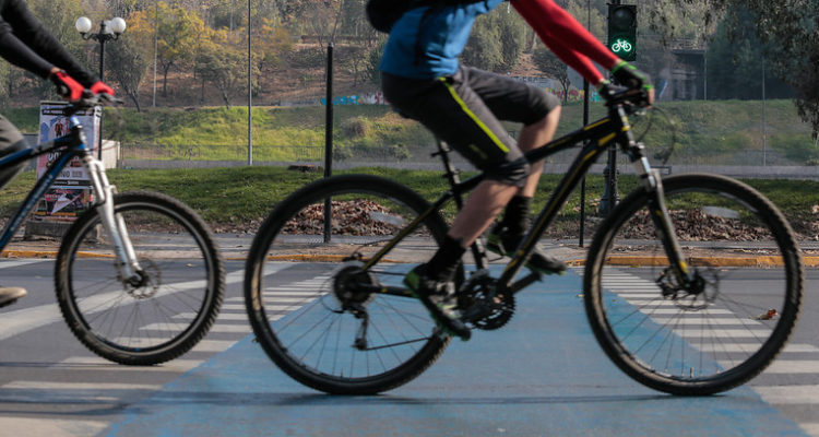 Francisca Carlini | Agencia Uno