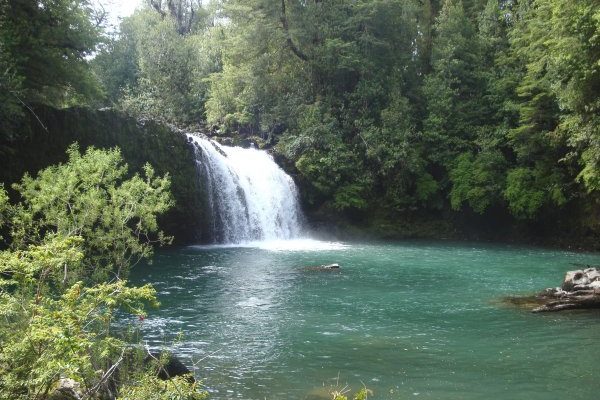 
Parque Nacional Puyehue | Sendero de Chile
