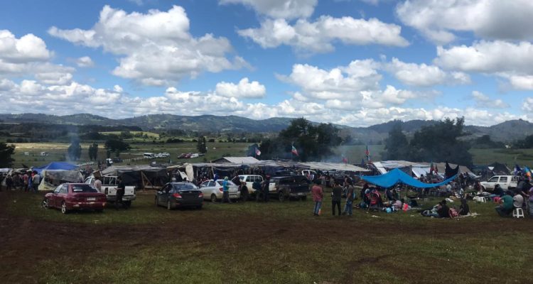 Vladimir Saéz | RBB