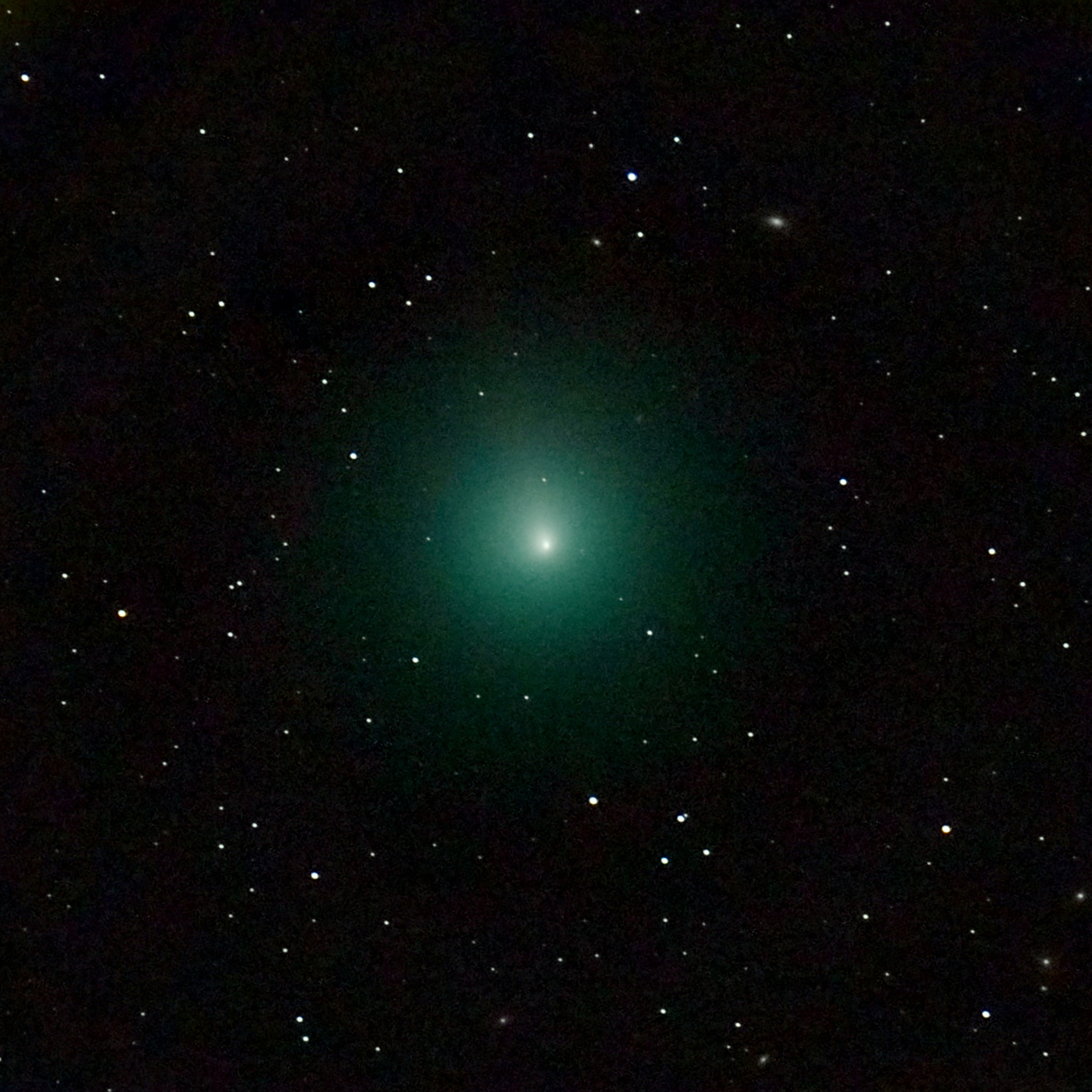 Imagen del Cometa de la Navidad tomada el 3 de diciembre con un telescopio | Nicolas Biver | LESIA | Observatoire de Paris-PSL | Agence France-Presse 