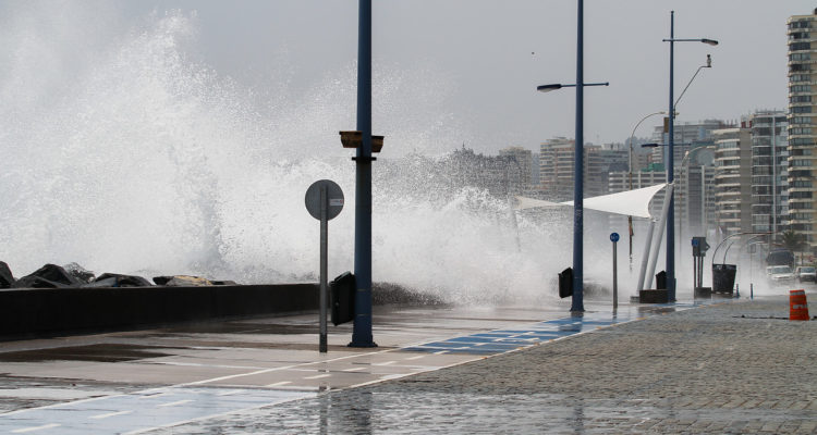 Contexto | Yvo Salinas | Agencia UNO