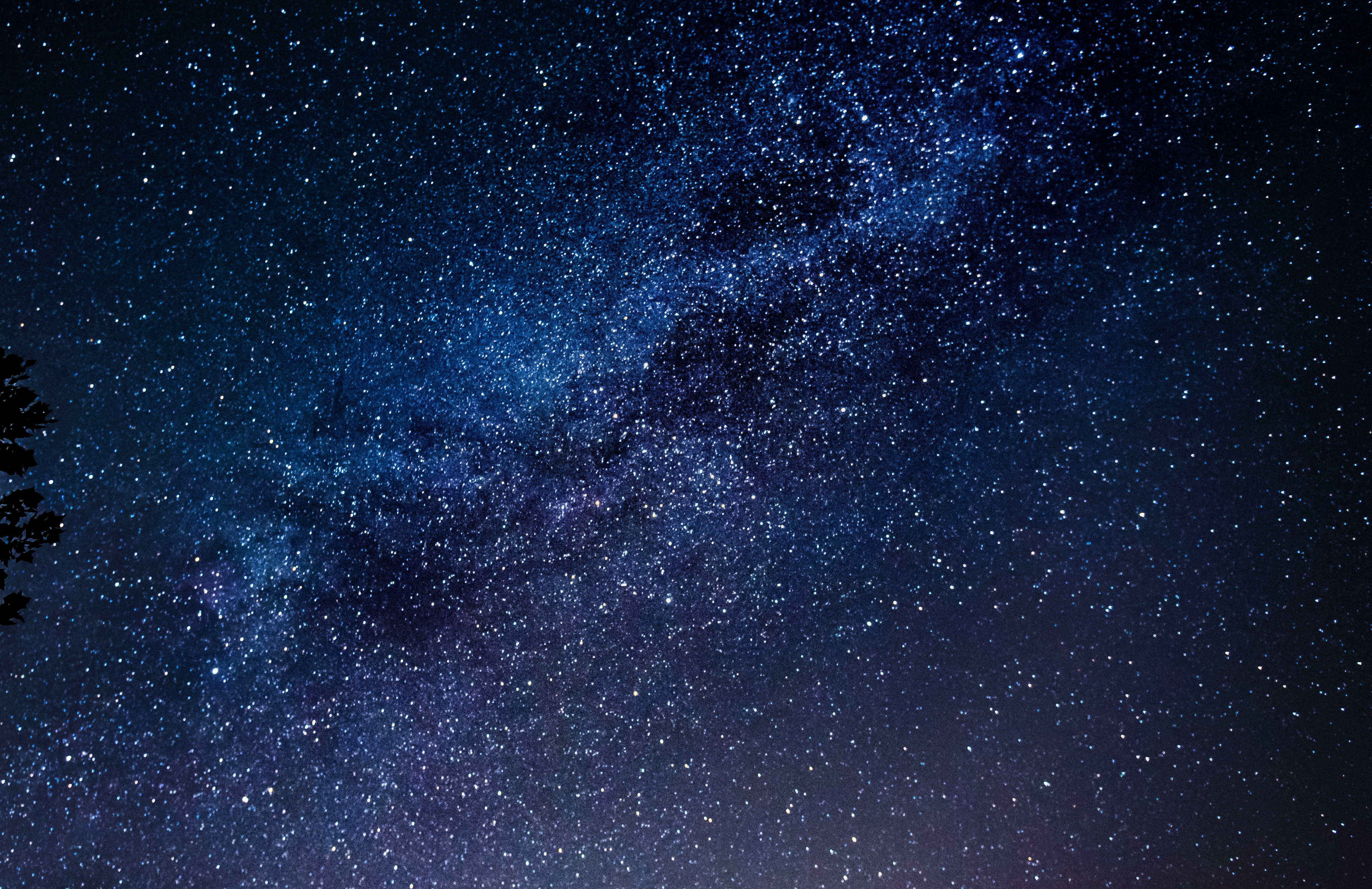 Archivo | Bryan Schneider | Pexels (CCO)  