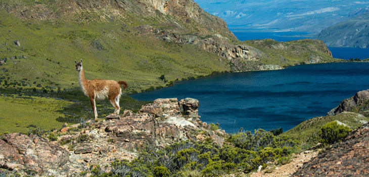 www.parquepatagonia.org